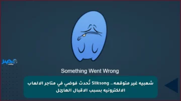 شعبية غير متوقعة.. Silksong تُحدث فوضى في متاجر الألعاب الإلكترونية بسبب الإقبال الهائل